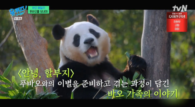 tvN '유 퀴즈 온 더 블럭' 방송 화면