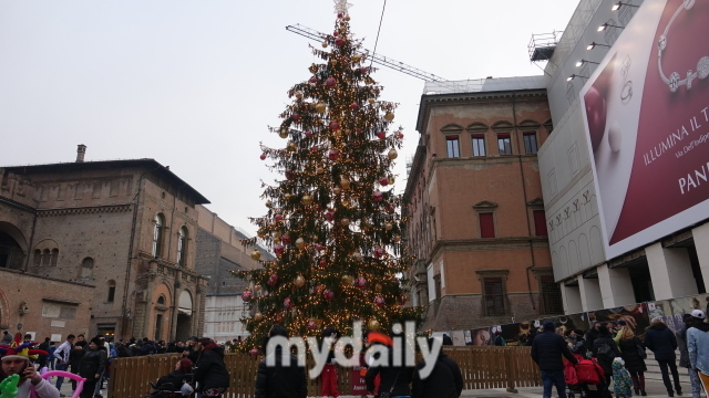 크리스마스 장식이 설치된 볼로냐의 중앙 광장인 마조레 광장/신양란