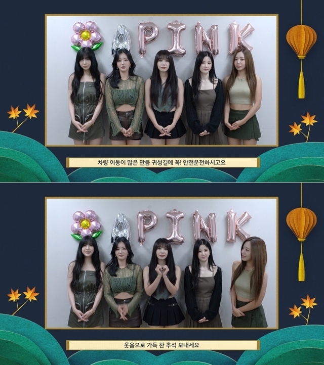 그룹 에이핑크(Apink, 박초롱 윤보미 정은지 김남주 오하영). / 에이핑크 계정