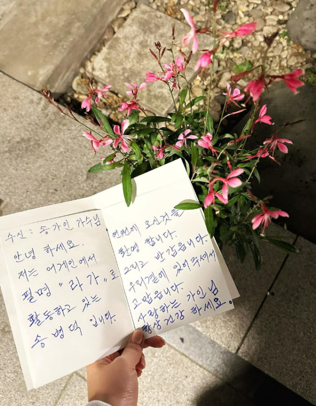 송가인