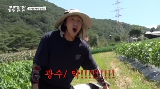 밭에 열린 수박을 발견하고 흥분을 감추지 못하는 이광수 / tvN ‘콩 심은 데 콩 나고 팥 심은 데 팥 난다’ 방송 캡처