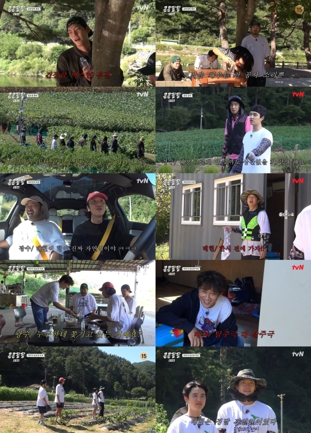 tvN '콩 심은 데 콩 나고 팥 심은 데 팥 난다'. / tvN '콩 심은 데 콩 나고 팥 심은 데 팥 난다' 영상 캡처