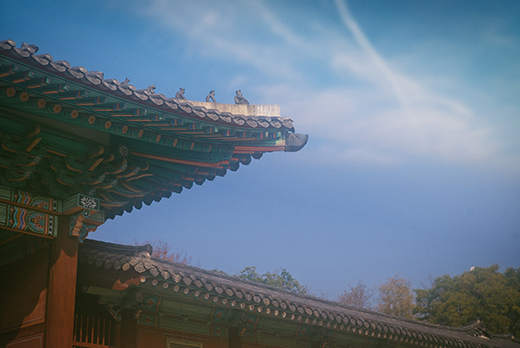 영화 