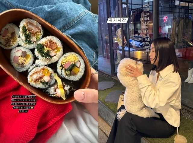 사진 = 기은세