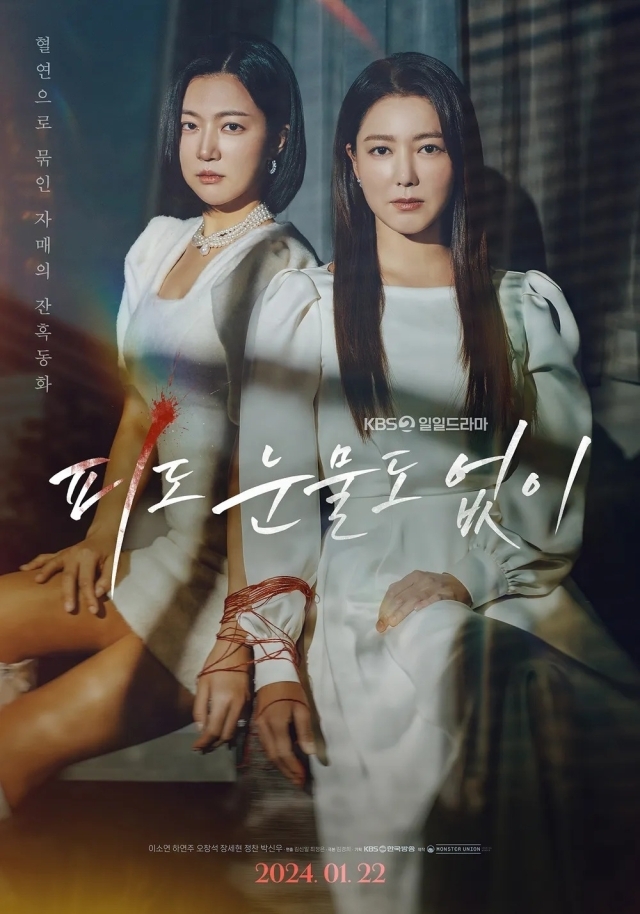 KBS 2TV 일일드라마 '피도 눈물도 없이' 포스터. / KBS 2TV