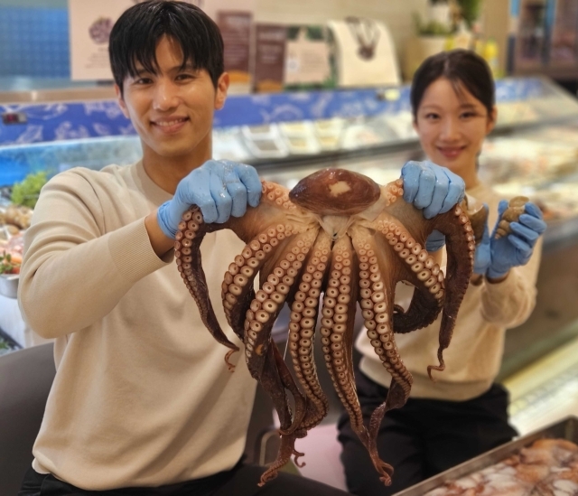 신세계백화점, 전 점서 동해안 최북단 ‘대왕문어’ 선봬. /신세계백화점