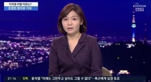 방송인 출신 기자 조정린. / TV조선 캡처