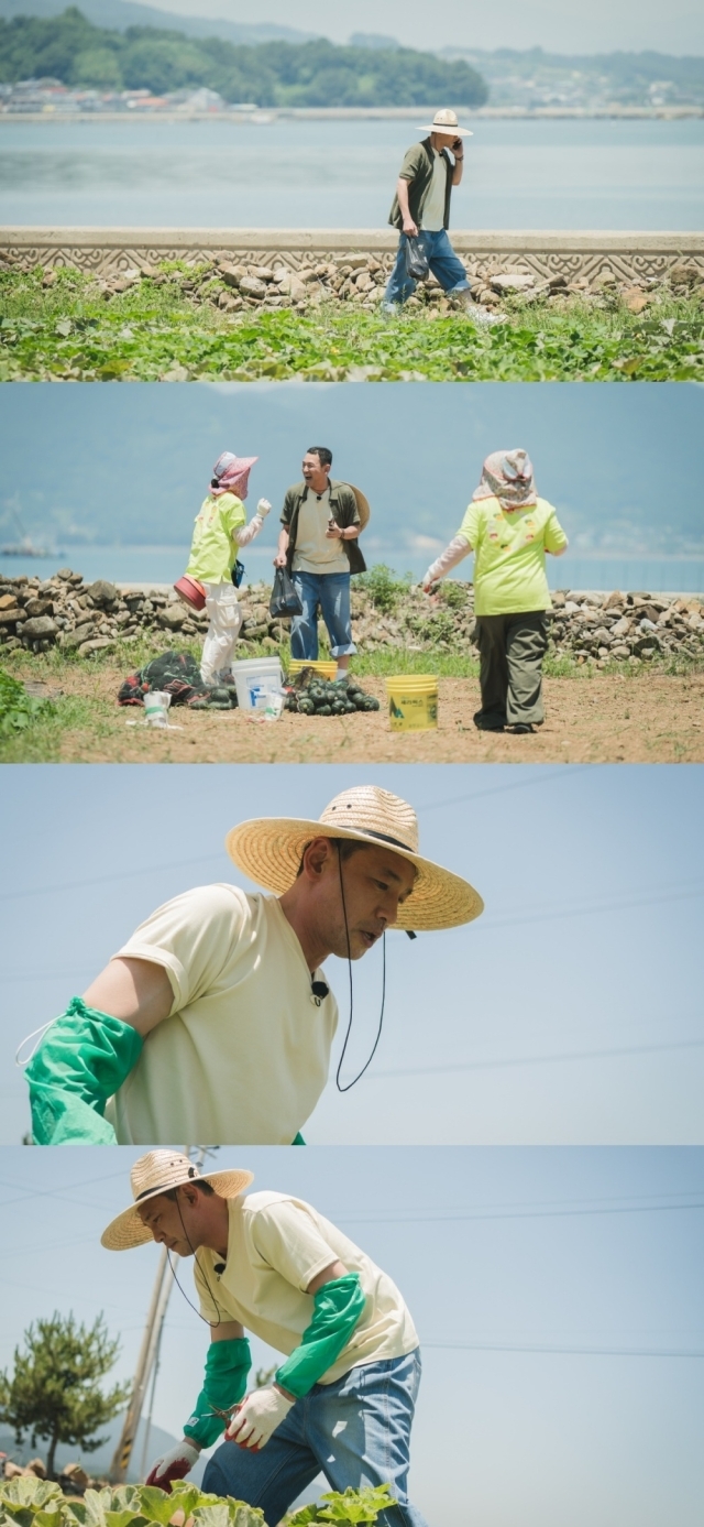 tvN 예능 