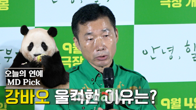 강철원 주키퍼 / 마이데일리