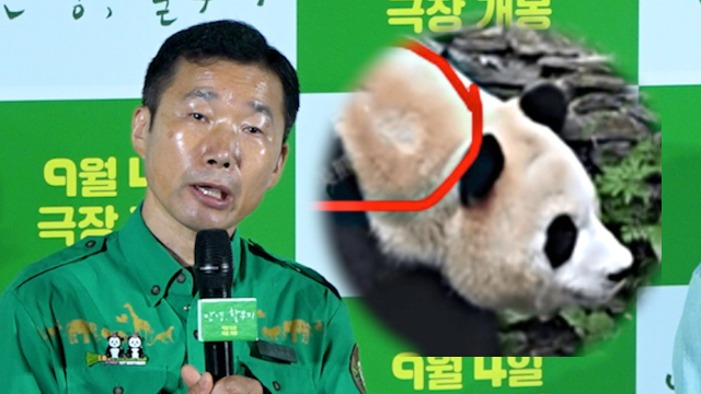 강철원 주키퍼 / 마이데일리, 온라인 커뮤니티