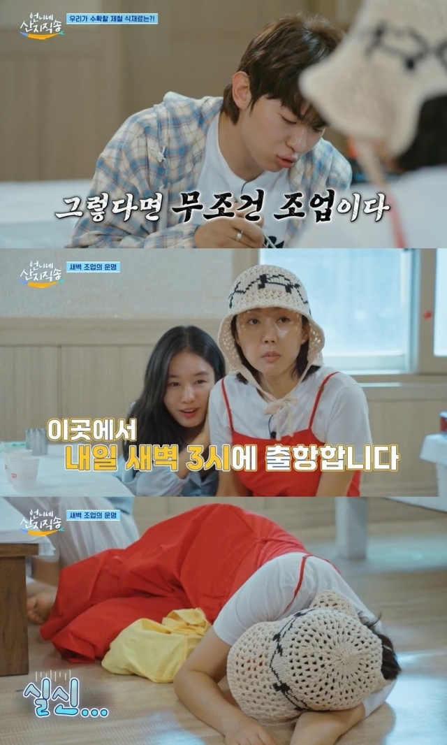 tvN 
