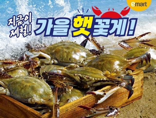 “햇꽃게가 돌아왔다”…이마트, 가을 꽃게 최대 50% 할인./이마트