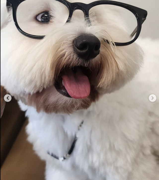 임영웅 / 인스타그램