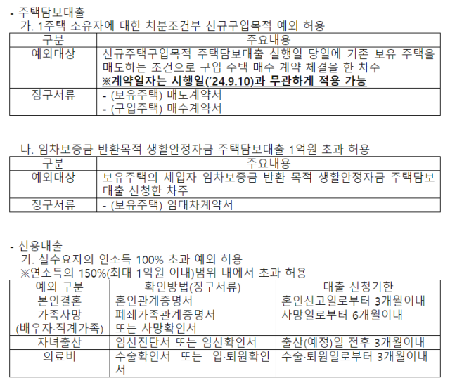 신한은행 주택담보대출 및 신용대출실수요자 예외 조건 안내/신한은행