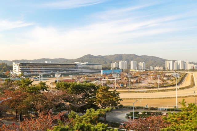 렛츠런 파크 서울. /한국마사회