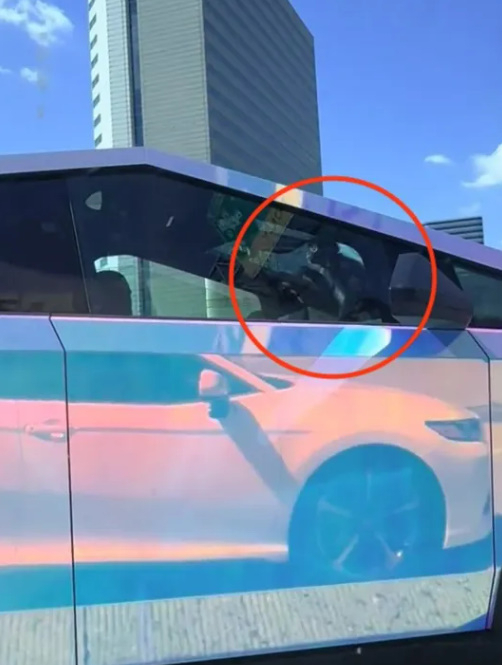 원숭이가 테슬라 차 안에서 춤을 추는 모습./
