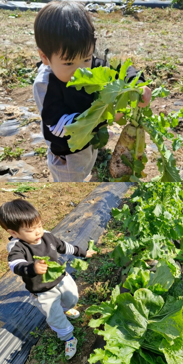 개그우먼 홍현희, 인테리어 디자이너 겸 방송인 제이쓴의 아들 준범./개그우먼 홍현희, 인테리어 디자이너 겸 방송인 제이쓴의 아들 준범 인스타그램