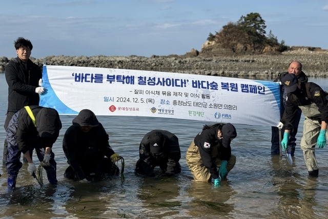 롯데칠성음료가 바다 복원을 위한 잘피숲 조성에 나섰다. /롯데칠성음료