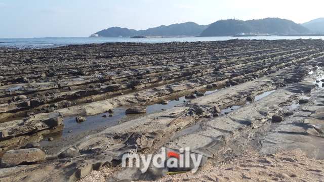 아오시마는 일본 건국 신화의 배경으로 일본인에게 중요한 곳이지만, 여행자에게는 ‘도깨비 빨래판’이라는 특이한 생김새의 바위 때문에 흥미로운 곳이다. 도깨비 빨래판은 사암과 이암이 축적되었다가 노출된 것이 파도에 깎여 울퉁불퉁한 형상을 하고 있는데, 그 모습이 빨래판을 닮아 그렇게 부른다./신양란 작가