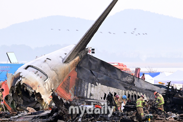 지난해 12월 29일 오전 전남 무안국제공항으로 착륙하던 방콕발 제주항공 2216편이 랜딩기어 고장으로 동체 착륙을 하던 중 활주로를 이탈해 울타리 외벽과 충돌한 뒤 큰 폭발했다. 사고 하루가 지난 지난달 30일 오전 소방당국이 추가 수색을 하고 있는 가운데 새떼들이 인근을 지나고 있다. /곽경훈 기자