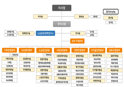 소상공인시장진흥공단 2025년 개편 조직도. /소진공