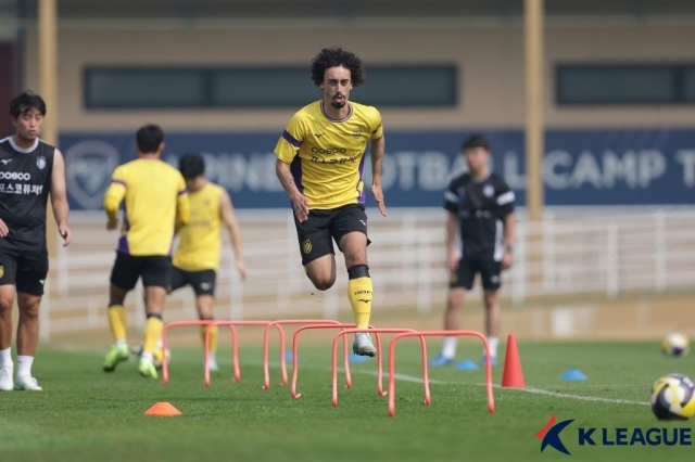 전남 드래곤즈 발디비아./프로축구연맹