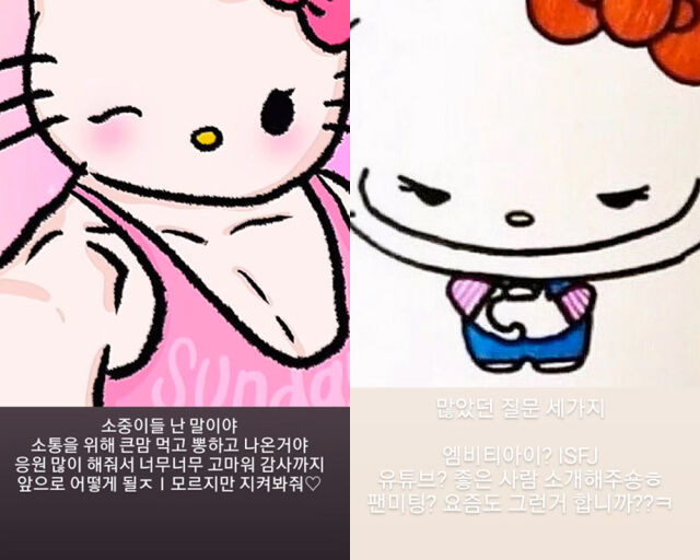 스토리로 응원에 대한 감사함와 유튜브 개설 의사를 표현했다. /최홍만 인스타그램