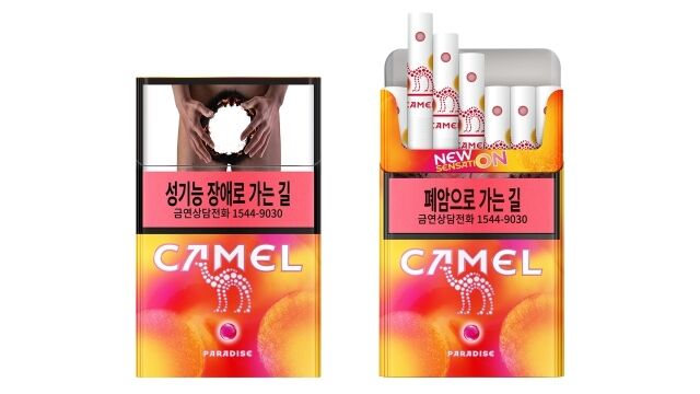 /JTI코리아