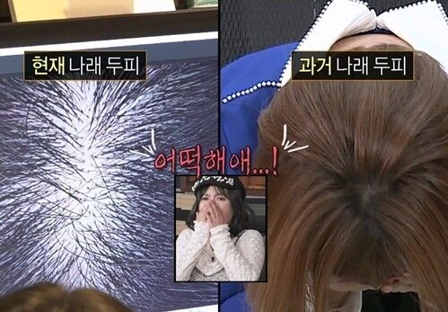 MBC '나 혼자 산다'