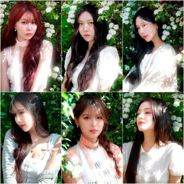 모모랜드 / 인연엔터테인먼트
