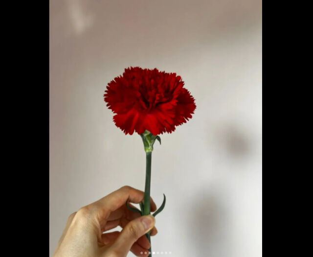 정시아 소셜미디어