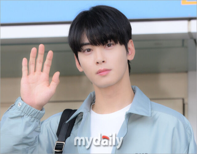 차은우 / 마이데일리
