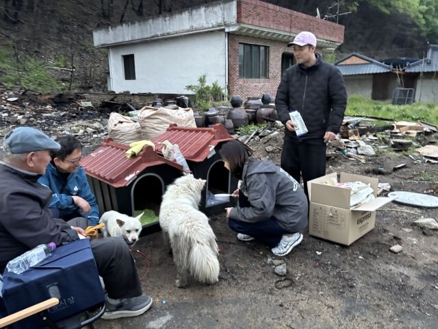 방송인 전현무와 슈퍼모델 출신 훈련사 김효진이 유기견 구조와 산불 피해 주민을 챙겼다. / 리홈 캠페인