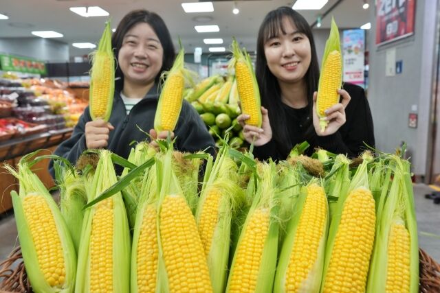 제타플렉스 잠실점 채소 코너에서 롯데마트·슈퍼 채소팀 MD들이 초당옥수수를 소개하고 있다. /롯데마트