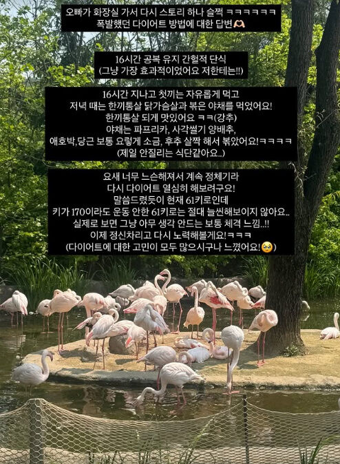 이다은 소셜미디어