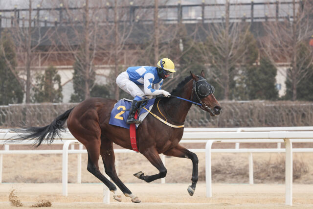 크라운함성이 지난 2월 16일 세계일보배에 출전해 우승했다./한국마사회