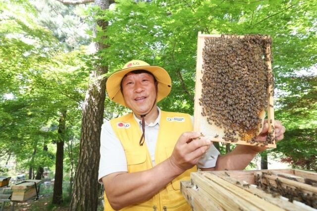 LG가 조성한 토종 꿀벌 서식지에서 김대립 명인이 꿀벌통을 들어 보이고 있다./LG