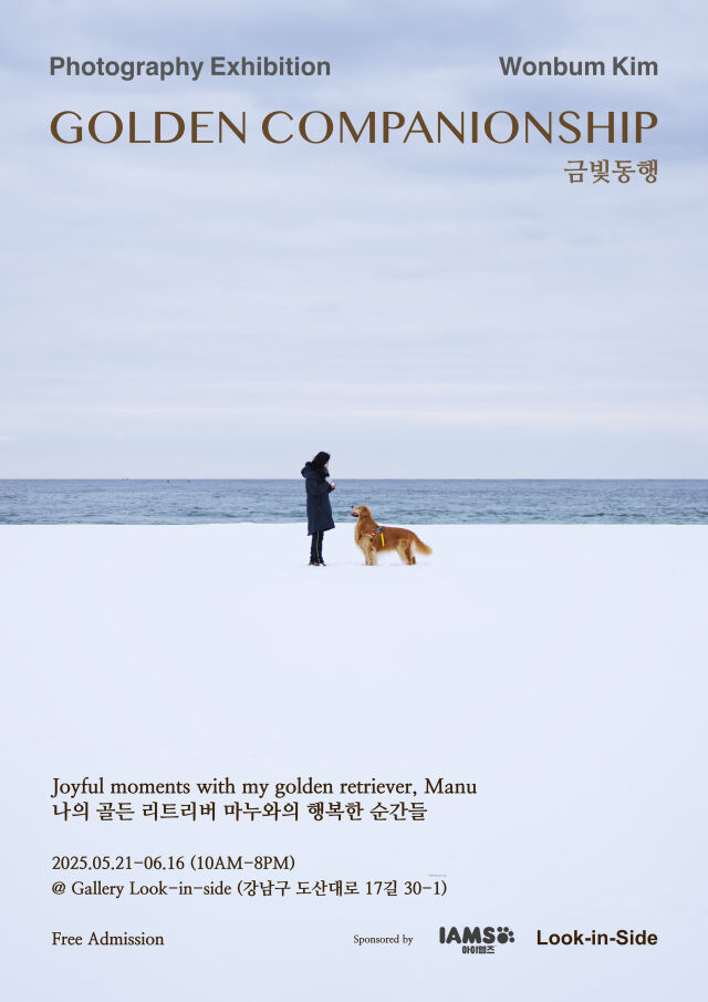 문정희 / 에이스팩토리 제공