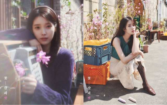 가수 아이유 '꽃갈피 셋' 콘셉트 포토. / EDAM 엔터테인먼트