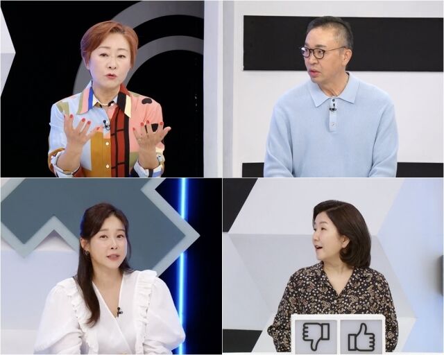 배연정 / TV조선 제공