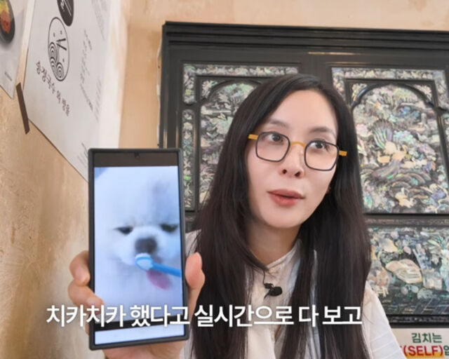 고소영이 반려견 놀이터에 대해 언급했다. / 유튜브 '바로 그 고소영' 캡처