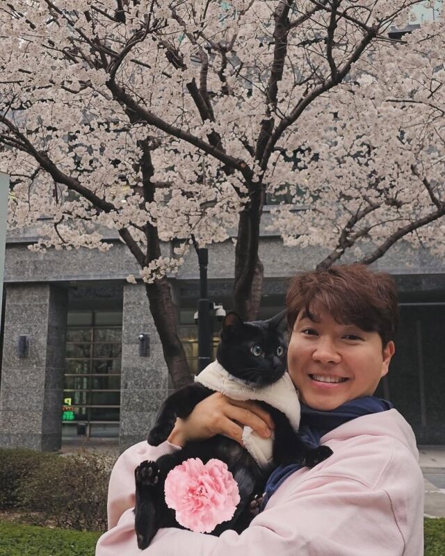방송인 박수홍이 반려묘에 대한 애정을 전했다. / 박수홍 인스타그램