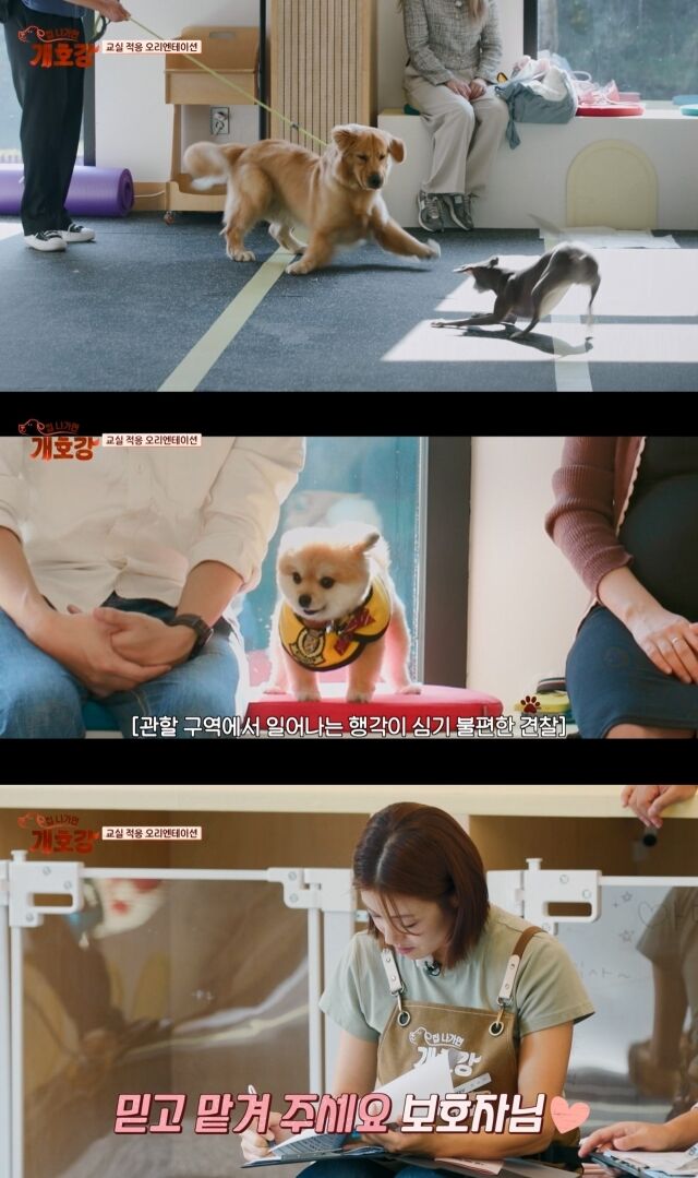 JTBC 예능 ‘집 나가면 개호강’