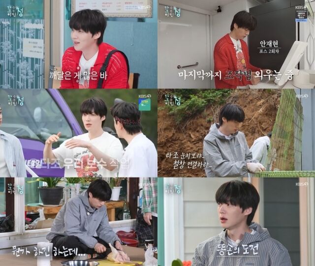 안재현 / KBS2 '가는정 오는정 이민정'