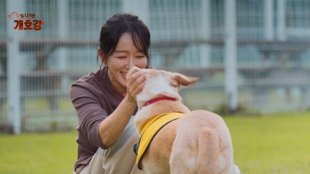 JTBC '집 나가면 개호강'/JTBC '집 나가면 개호강'