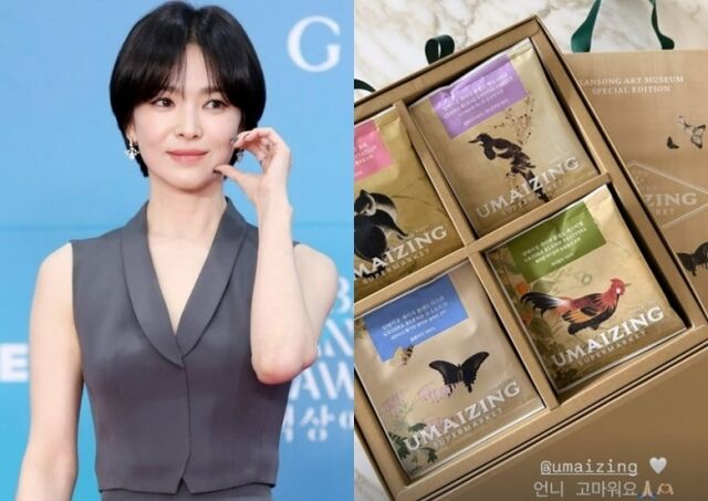 송혜교 소셜미디어