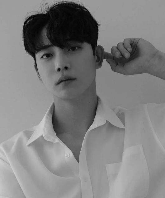 故 김종석 / 소셜미디어